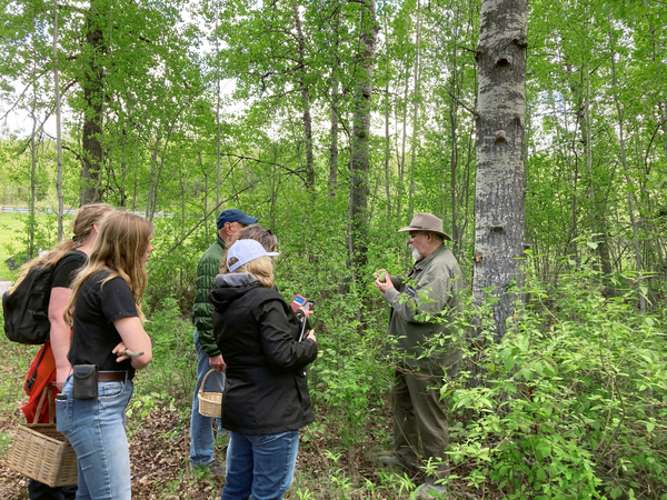 Group of people in a forest with a guide (Martin) who is holding a mushroom, surrounded by trees and greenery.