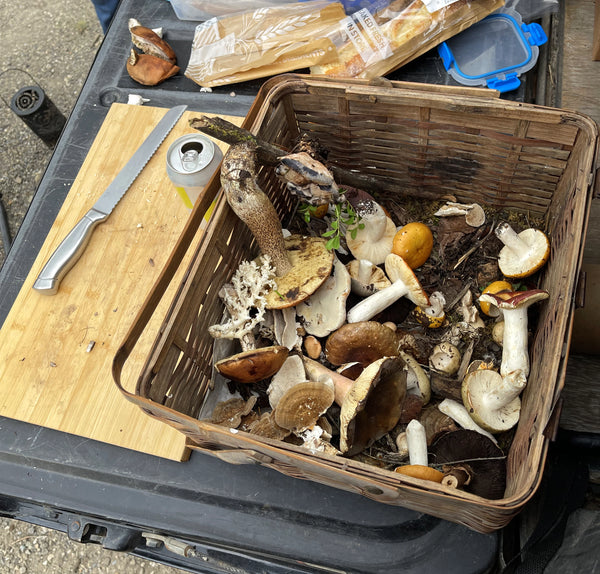 A rustic woven basket filled with assorted wild mushrooms, moss, and small greenery, placed on a black storage box next to a wooden cutting board and knife.